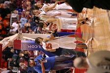Enlarge photo 269