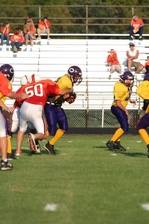 Enlarge photo 40