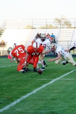 Enlarge photo 25