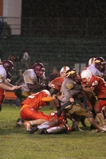 Enlarge photo 196