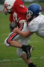 Enlarge photo 45