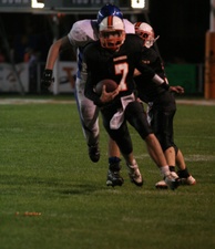 Enlarge photo 63
