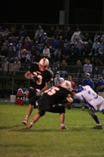 Enlarge photo 93