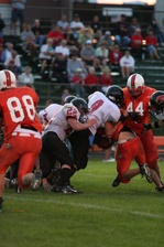 Enlarge photo 62