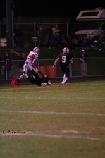 Enlarge photo 48