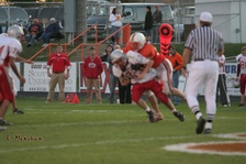 Enlarge photo 63