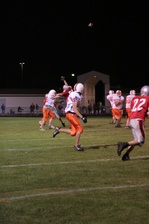 Enlarge photo 115