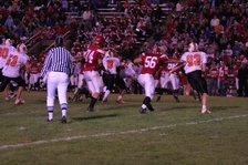 Enlarge photo 40