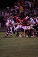Enlarge photo 91