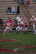 Enlarge photo 43