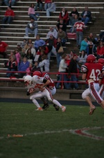 Enlarge photo 48