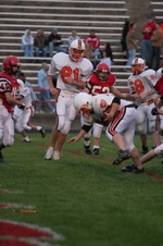 Enlarge photo 53
