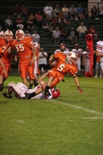 Enlarge photo 105