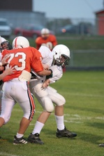 Enlarge photo 38