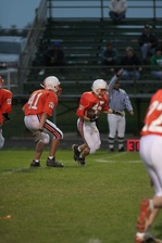 Enlarge photo 59