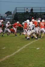 Enlarge photo 61