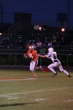 Enlarge photo 113