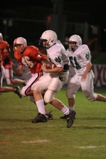 Enlarge photo 174
