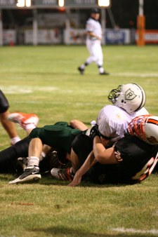Enlarge photo 37