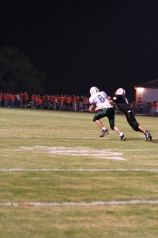 Enlarge photo 45