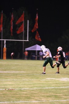 Enlarge photo 48