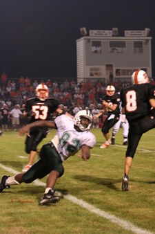 Enlarge photo 58