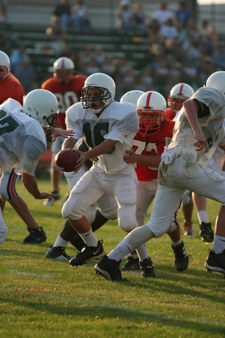 Enlarge photo 60