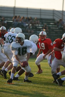 Enlarge photo 61