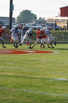 Enlarge photo 93