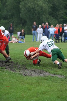 Enlarge photo 51
