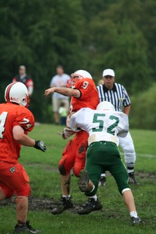 Enlarge photo 55