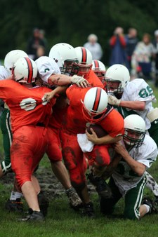 Enlarge photo 61