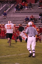 Enlarge photo 43