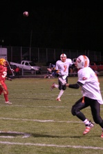 Enlarge photo 117