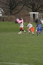 Enlarge photo 59