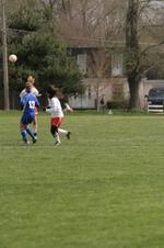 Enlarge photo 81
