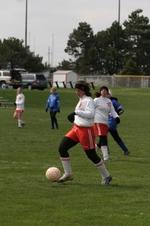 Enlarge photo 122