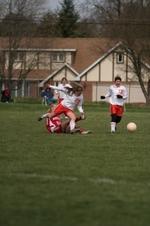 Enlarge photo 57