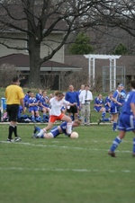 Enlarge photo 35