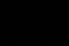 Enlarge photo 111