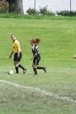 Enlarge photo 230