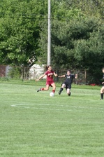 Enlarge photo 135