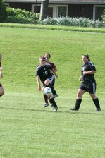 Enlarge photo 153