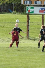 Enlarge photo 195
