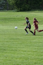 Enlarge photo 237