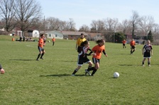 Enlarge photo 39