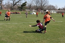 Enlarge photo 45