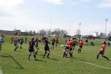 Enlarge photo 51
