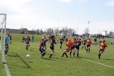 Enlarge photo 52