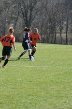 Enlarge photo 53